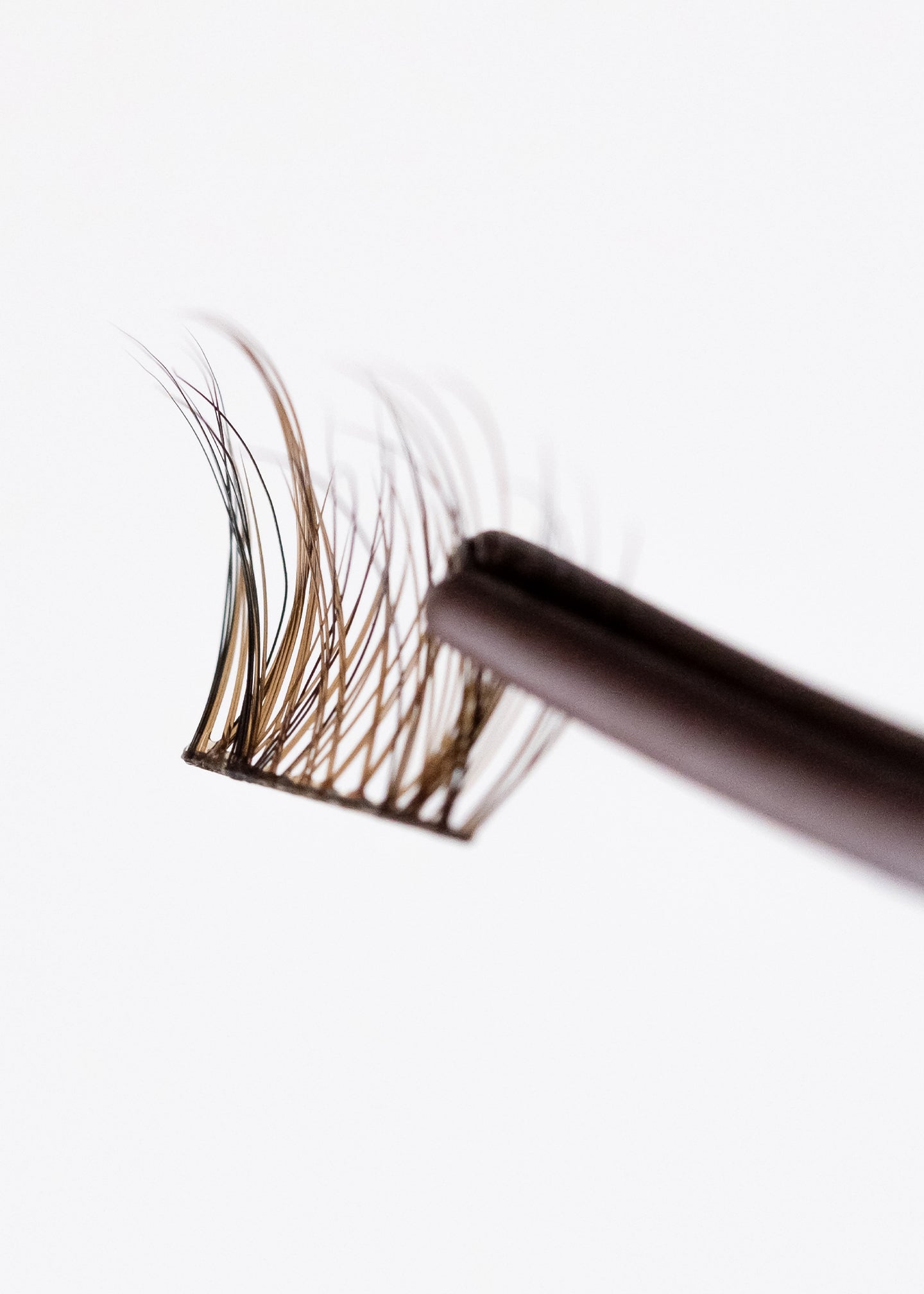 Daydream (Brown/Black)