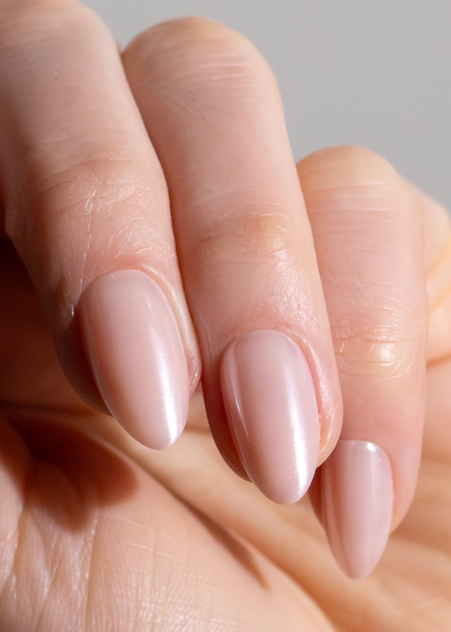 Glazed Donut (Medium)